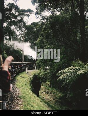 Ein Blick von der Puffing Billy, der ältesten Eisenbahn in Australien Stockfoto