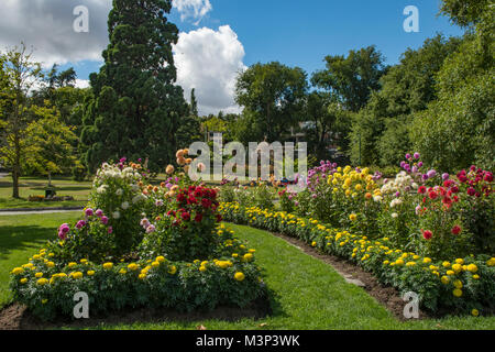 Gärten im City Park, Launceston, Tasmanien, Australien Stockfoto