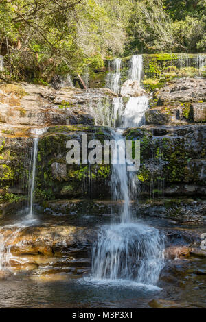 Unteren Kaskaden, Liffey fällt, Tasmanien, Australien Stockfoto