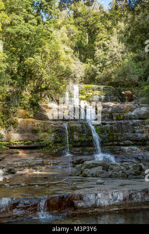 Unteren Kaskaden, Liffey fällt, Tasmanien Stockfoto