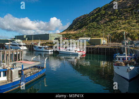 Hafen von Stanley, Tasmanien, Australien Stockfoto