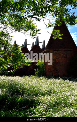 Sissinghurst, Kent, England. Traditionelle Oast Houses - hop Trockenkammern. Wildblumenwiese - Gänseblümchen Stockfoto