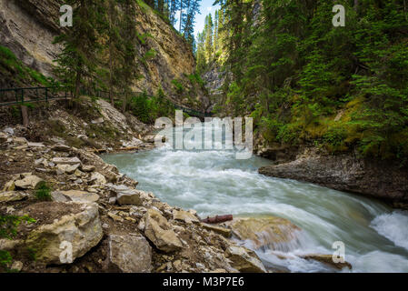 Gehweg entlang der Johnston Creek im Bow Valley Parkway Stockfoto