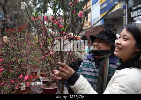Hanoi, Vietnam. 12 Feb, 2018. Kunden wählen Peach Blossom für die bevorstehende Neujahrsfest in Hanoi, Hauptstadt von Vietnam, Feb.12, 2018. Der Lunar New Year Festival, auch genannt Tet in Vietnamesisch, ist einer der langjährigen Traditionen des vietnamesischen Volkes. Credit: Wang Di/Xinhua/Alamy leben Nachrichten Stockfoto