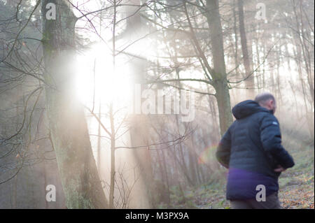 Ein Mann geht in den Wald, sobald ein Sonnenstrahl bricht durch die Bäume Stockfoto