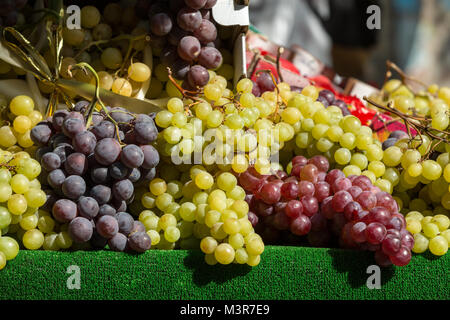 Die Trauben der roten und weißen Trauben auf Farmers Market. Stockfoto