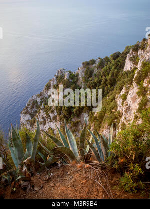 Blick auf das Tyrrhenische Meer und die Insel Capri, Italien Stockfoto
