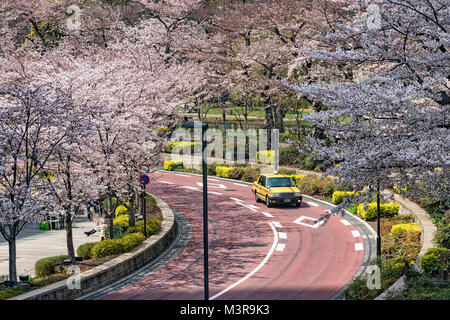 Japan, Insel Honshu, Kanto, Tokio, die Midtown Roppongi Bezirk im Frühjahr. Stockfoto