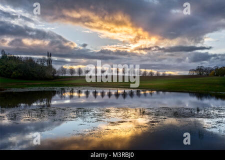 Einem überschwemmten Feld in Schleswig-Holstein. Sonnenuntergang kurz vor dem Regen. Stockfoto