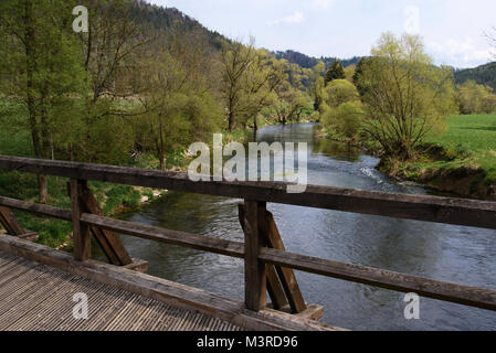 Bei pfahljochbrücke Neckarhausen, eine der ältesten erhaltenen Holzbrücken im süddeutschen Raum, zahlr Bauteile stammen aus dem Jahre 1252, Baden-W Stockfoto