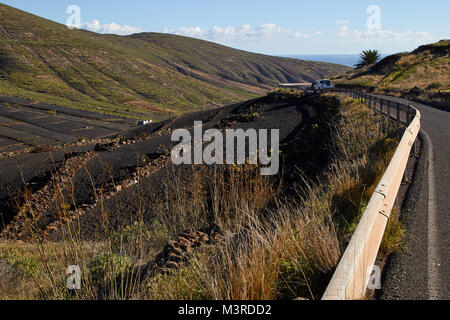 Landwirtschaft, Tabayesco, Lanzarote Stockfoto