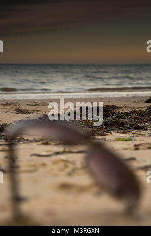 Stimmungsvolle Porträtansicht der Strandküste und des Horizonts bei Sonnenuntergang mit spektakulären Abendhimmelfarben. Weiche, verlassene Sonnenbrille im Vordergrund. Stockfoto