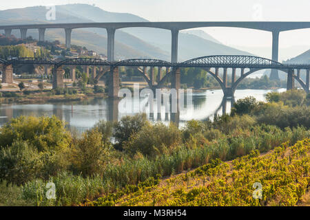 Brücken über den Fluss Douro in Peso da Régua, in der Weinregion Alto Douro, Nordportugal Stockfoto