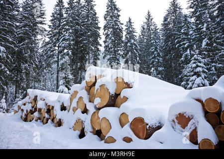 Woodpile von frisch geernteten Protokolle unter Tiefschnee Massen im Winter. Stämme der Bäume geschnitten und in einem Nadelwald in Österreich gestapelt. Stockfoto