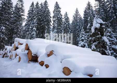 Woodpile von frisch geernteten Protokolle unter Tiefschnee Massen im Winter. Stämme der Bäume geschnitten und in einem Nadelwald in Österreich gestapelt. Stockfoto