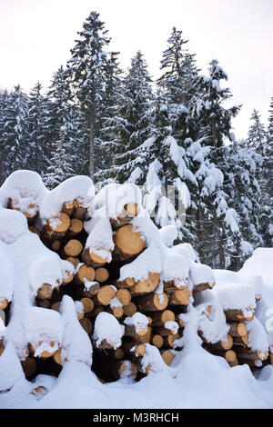 Woodpile von frisch geernteten Protokolle unter Tiefschnee Massen im Winter. Stämme der Bäume geschnitten und in einem Nadelwald in Österreich gestapelt. Stockfoto