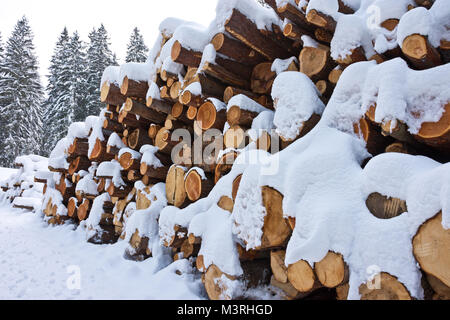 Woodpile von frisch geernteten Protokolle unter Tiefschnee Massen im Winter. Stämme der Bäume geschnitten und in einem Nadelwald in Österreich gestapelt. Stockfoto