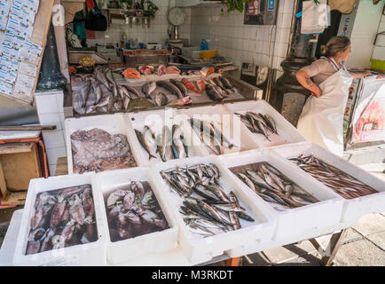 Frischer Fisch und Meeresfrüchte für den Verkauf in der Mercado do Bolhao, Porto, Portugal Stockfoto