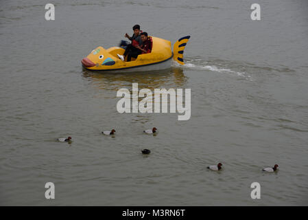 Touristische genießen Bootfahren in Sukhna See, Chandigarh, Haryana, Indien, Asien Stockfoto