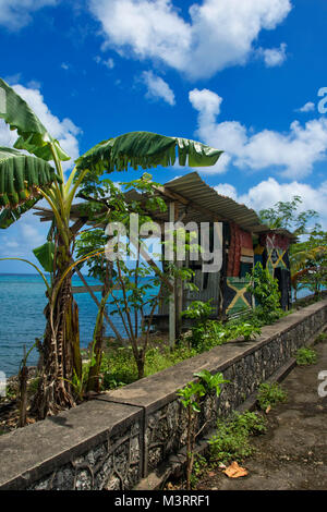 Banane Bäume entlang der karibischen Küste auf dem Weg nach James Bond Beach, Ocho Rios, Jamaika Stockfoto
