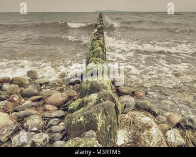 Alte hölzerne Wellenbrecher auf einem Ufer der Ostsee. Weiß schäumende Wasser Steine am Strand. Stockfoto