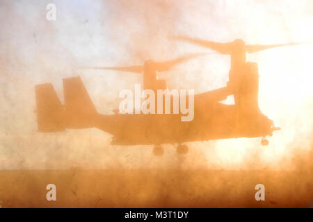 Aircrew Mitglieder zum 20 Special Operations Squadron zugeordnet vorbereiten zu landen ein CV-22 Osprey Jan. 7, 2016, im Melrose Air Force Range, NM. Das Flugzeug landete abzuholen Command Sgt. Maj. William Thetford, die US Special Operations Command Senior Berater eingetragen, bei seinem Besuch in Cannon Air Force Base, NM. (U.S. Air Force Foto/Tech. Sgt. Manuel Martinez) 160107-F-RR 679-706 durch AirmanMagazine Stockfoto