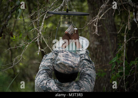 Airman 1st Class Markesha Hicks setzt ein Mosquito trap in einem bewaldeten Gebiet auf hurlburt Field Air Force Base, Fla. Airman 1st Class Hicks und andere Flieger in der öffentlichen Gesundheit Flug am 1. Spezielle Operationen medizinische Gruppe gesetzt und Fallen um die Basis, um den Moskitos zu Wright-Patterson AFB in Ohio zur Analyse gesendet werden. (U.S. Air Force Foto/Staff Sgt. Andrew Lee) 160418-F-NL 936-063 durch AirmanMagazine Stockfoto