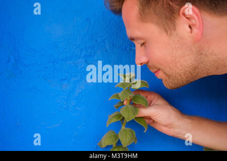 Jungen kaukasischen Mann riechen die Blume mit Vergnügen Stockfoto