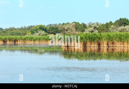 Sommer Pryschukove dunkel braun-rote Jod See mit einer therapeutischen Wirkung durch den hohen Gehalt an Jod (Kherson, Ukraine). Stockfoto