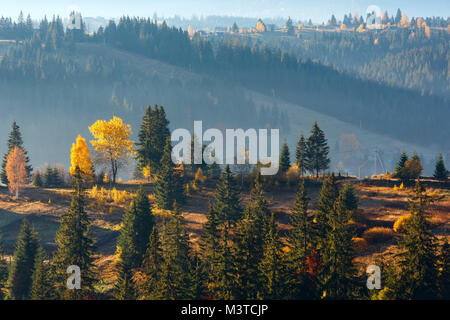 Erste sonnenaufgang Strahlen der Sonne und Schatten durch Nebel und Bäume auf Pisten. Morgen herbst Karpaten Landschaft (Yablunytsia Dorf und Pass, Iv Stockfoto