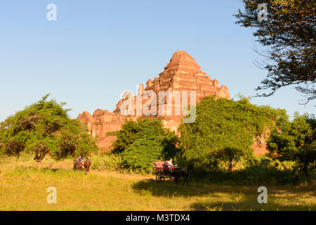 Bagan: Dhammayangyi Tempel, Pferdewagen, Region, Mandalay, Myanmar (Birma) Stockfoto