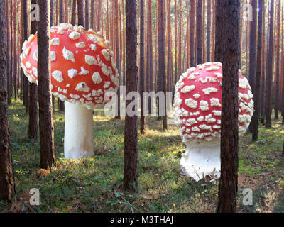 Riesige Pilze zwischen den Bäumen im Wald Foto Montage fliegen Stockfoto