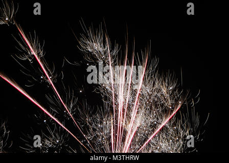 Single High Explosive mit zartem Silber Feuerwerk in der Nacht neues Jahr Stockfoto