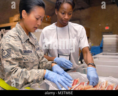 Tech. Sgt. Marilou Vaughan und 1 Lt Jacquelyn Smith, ein Freiwilliger, bestand der roten Blutkörperchen im Blut transshipment Center an einem Air Base in Südwestasien. Freiwillige unterstützen die BTC Personal mit dem Nehmen eingehende Blut Produkt Vorräte vor der Verteilung der gesamten US Central Command Verantwortungsbereich. Sergeant Vaughn ist ein Lab Tech mit dem 379 Expeditionary Medical Group BTC. (U.S. Air Force Foto von älteren Flieger Andrew Satran) Bloodline013 von AirmanMagazine Stockfoto