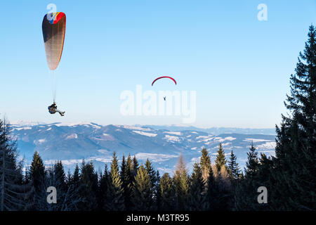 Zwei Gleitschirm fliegen von Berg Schoeckl im Winter über Bäumen mit schönem Panorama in der Steiermark, Österreich Stockfoto