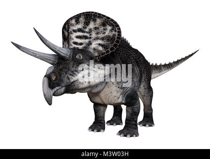 3D-Rendering von Dinosaur Zuniceratops auf weißem Hintergrund Stockfoto
