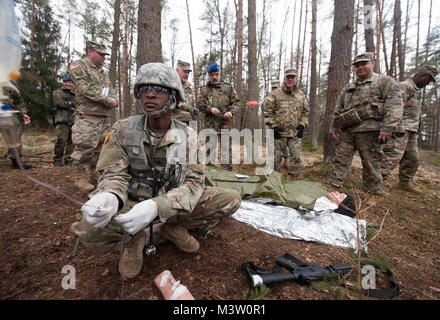 Grafenwöhr, Deutschland - Sehr geehrte Besucher aus der Bundeswehr Operative medizinische Unterstützung Befehl und 21 Theater Support Command eine Demonstration während der US-Armee Soldaten beobachten, während der US-Armee Europa Experten Bereich Medizinische Abzeichen Bewertung in Grafenwöhr, Deutschland am 24. März 2017. Etwa 215 Kandidaten aus der US-Armee und zehn europäischen Partner Nationen nahmen an diesem alle zwei Jahre stattfindenden Bewertung in den Hoffnungen des Erzielens der begehrten US-Armee EFMB. (U.S. Air Force Foto von TSgt Brian Kimball) 170324-F-QP 401-024 von DoD News Fotos Stockfoto