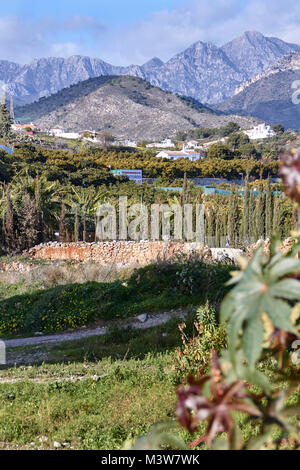 Parque Natural Sierras de Tejeda, Almijara y Almaha, Andalusien, Spanien Stockfoto