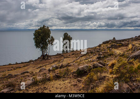 Zwei Bäume auf einer Klippe an einem bewölkten Tag, Insel Taquile, Titicacasee, Peru Stockfoto