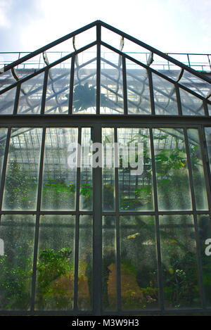 Gewächshaus der Park de la Tête d'Or in Lyon Licht in Transparenz Stockfoto