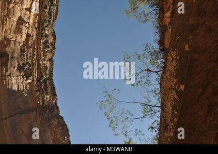 Perspektivisches Foto suchen, um sich an den Wänden eines Canyon in Toro Toro National Park, Bolivien Stockfoto