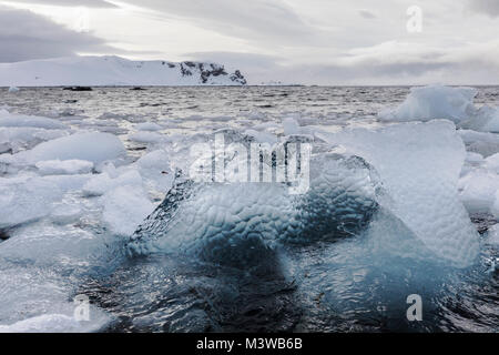 Meereis floating in Half Moon Island geformt; Antarktis Stockfoto