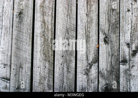 Hintergrund einer Holzwand mit vertikalen grauen Platten mit Kreissäge Markierungen. Stockfoto