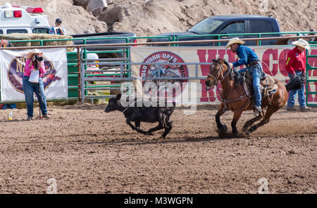 Goldrausch Tage in Wickenburg, AZ, mit Rodeo am Everett Bowman Bereich im Jahr 2018 Stockfoto