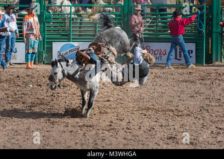 Goldrausch Tage in Wickenburg, AZ, mit Rodeo am Everett Bowman Bereich im Jahr 2018 Stockfoto