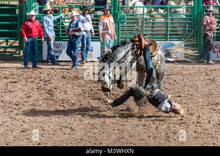 Goldrausch Tage in Wickenburg, AZ, mit Rodeo am Everett Bowman Bereich im Jahr 2018 Stockfoto