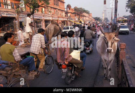 Indien. Rajasthan. Jaipur. Täglich leben auf der Straße. Verkehr, Menschen, camel-Karre und Kuh auf der Straße. Stockfoto