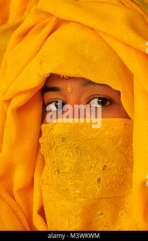 Indien. Rajasthan. Jaipur. Junge Frau mit Schleier. Porträt. Stockfoto