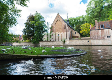 Kloster von Sancta Elisabeth Sauve Garde entlang des Flusses mit weißen Schwäne schwimmen in der mittelalterlichen Stadt Brügge, Belgien Stockfoto