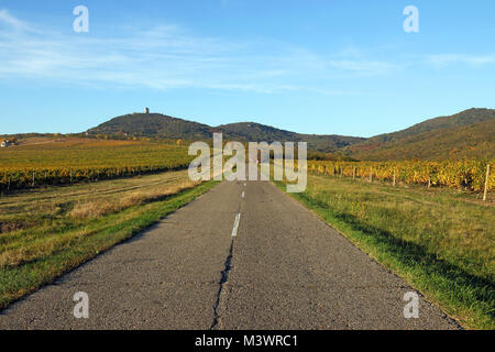 Der alte Weg führt durch die Weinberge und Hügel Landschaft Stockfoto